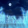 Blue moon over Blue Meadow