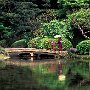 Woman on the bridge, Meiji Shrine, Tokyo Japan