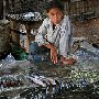 Cambodia - Siem Reap -  boy selling fish in market