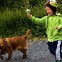 Iceland - A boy and his dog 