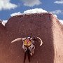 Taos pueblo - steer head - Taos NM