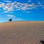 White Sands Natl Monument - NW