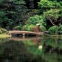 Japan - Tokyo - Meiji Shrine