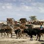 Tanzania _ Sinya - Maasi traffic jam