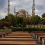 Turkey - Istanbul - Cat in front of Blue Mosque