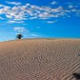 USA _ New Mexico - White Sands National Monument