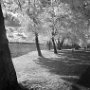 Connectquot Park - Infrared