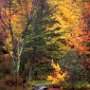 Kent pond, Vermont